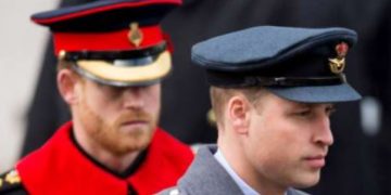 Prince Harry Interview Reveals Sibling Rivalry Over Africa