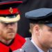 Prince Harry Interview Reveals Sibling Rivalry Over Africa