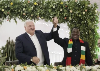 Zimbabwe: Belarus President Lukashenko Offers Trucks, Tractors On State Visit