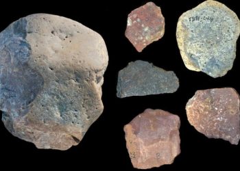 Ancient Tools Dating Back 2.9 Million Years Discovered In Kenya