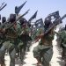 UN Blames Lack Of Jobs For Thriving Recruitment Base For Armed Groups In Africa