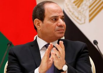 Al-Sisi Targets New Financing Means, As Egypt Assumes NEPAD Presidency