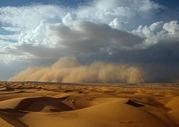 Sahara Dust Storm Threatens Half Of Cameroon