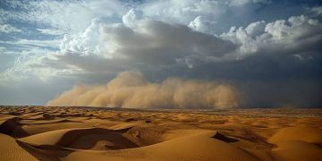 Sahara Dust Storm Threatens Half Of Cameroon