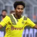 UCL: Nigeria’s Adeyemi Revels In African Delicacies Amidst Dortmund Truimph Over Chelsea