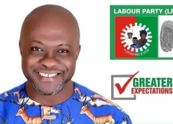 Nigeria Decides Labour Party Secures First National Assembly Seat
