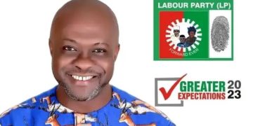 Nigeria Decides Labour Party Secures First National Assembly Seat