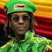 Robert Mugabe Junior Arrested