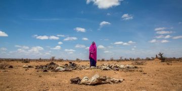 Somalia: UN Says Drought-related Deaths Hit 43,000 In 2022