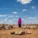Somalia: UN Says Drought-related Deaths Hit 43,000 In 2022