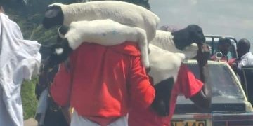 Kenya: Hundreds Of Persons Storm Ex-President Kenyatta’s Farm, Steal Livestock