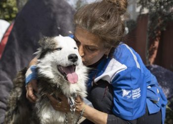 Dog Rescued From Rubble 3 Weeks After Turkey-Syria Earthquake