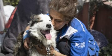 Dog Rescued From Rubble 3 Weeks After Turkey-Syria Earthquake