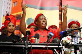 South Africa: Freedom Fighters Slams Govt Heavy Army Deployment Ahead Of Planned Shutdown