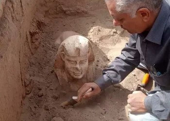 Egypt: Latest Archaeological Dig Yields Surprising Discoveries