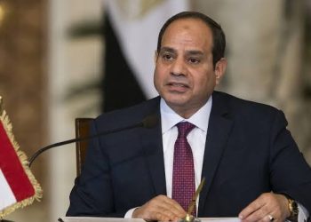 Amended Law Permits Foreigners To Obtain Egyptian Citizenship Through Investment