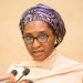 Nigeria: Minister Says Election Activities Delaying Removal Of N250bn Monthly Petrol Subsidy