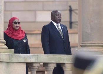 Tanzanian President Advocates Closer Security Ties With South Africa