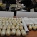Guinea Intercepts 1.5 Tonnes Of Cocaine From Sierra Leone Vessel