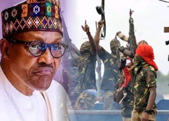 Niger Delta Group Applauds Buhari For Appointing Gen. Ndiomu, Says PAP Now Better Focused