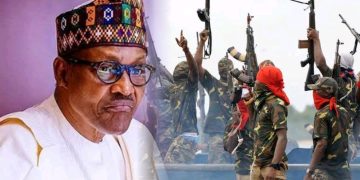 Niger Delta Group Applauds Buhari For Appointing Gen. Ndiomu, Says PAP Now Better Focused