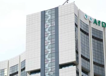 58 Percent Of Nigerians In Diaspora Live Outside Africa — AfDB