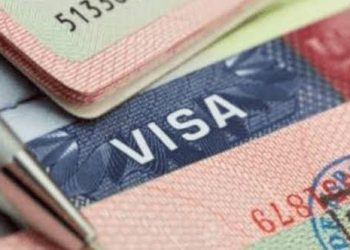 South Africa Approves 10-Year Visa For Nigerians