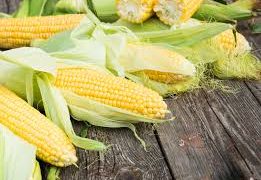 Kenya: President Ruto Promises Cheaper Maize Flour As Key Staple Food