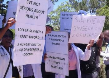 Zimbabwe To Criminalize Recruitment Of Health Workers By Foreign Countries