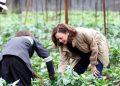 Harris Tours Zambia’s Panuka Farm, Renews Support For African Agric Sector