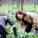 Harris Tours Zambia’s Panuka Farm, Renews Support For African Agric Sector