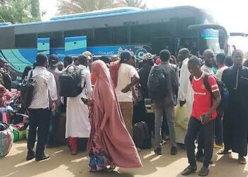 Egyptian Authorities Send Over 500 Nigerian Students Back To Sudan Over Passport Issues