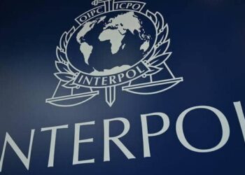 Interpol Announces Seizure Of 11,000 Stolen Artifacts After Crackdown In Europe