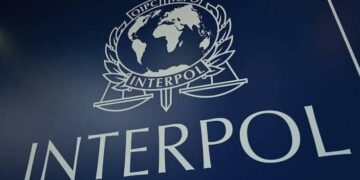 Interpol Announces Seizure Of 11,000 Stolen Artifacts After Crackdown In Europe