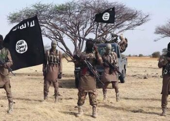 Nigeria: Abuja Tops Borno In Terror-Related Activities — Report