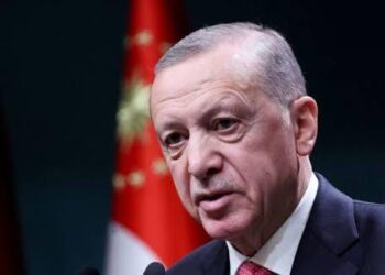 No Plans To Cling To Power If Rejected By Voters, Turkish President Assures