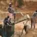 Seven Workers Killed In Ghana’s Mining Pit