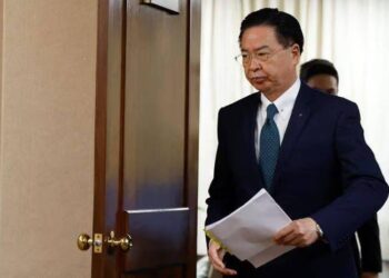 Taiwan Gathers More Support, Hopes For Invitation To WHO Meeting