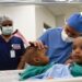 Nigerian Conjoined Twins Separated In Saudi Arabia