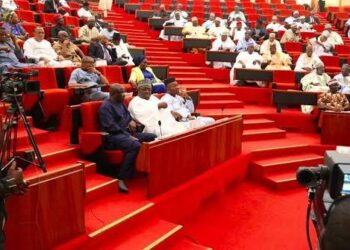 Bill To End Gender Discrimination Scales Second Reading At Nigerian Senate