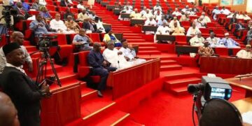 Bill To End Gender Discrimination Scales Second Reading At Nigerian Senate