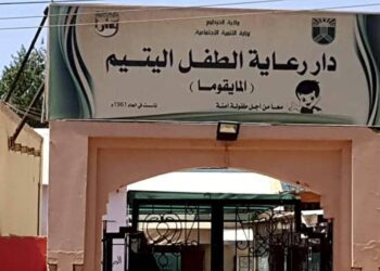 Sudan: Dozens Of Infants, Toddlers Die In Orphanage