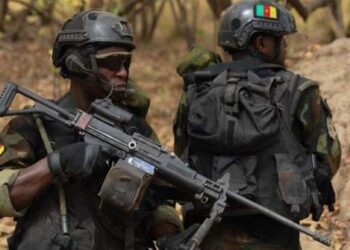 separatists kidnap over 30 women in cameroons restive region