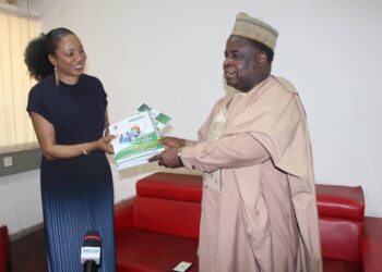 Nigeria, Best Place To Invest – Dabiri-Erewa