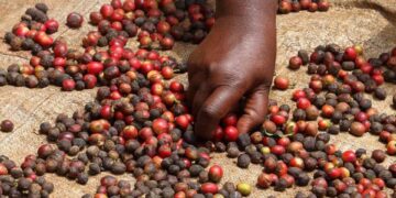 Kenya Signs Trade Deal With EU To Safeguard Exports