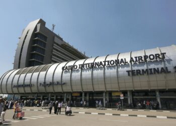 Egypt: Cairo Airport Authorities Arrest Passenger Attempting To Smuggle 73 Snakes