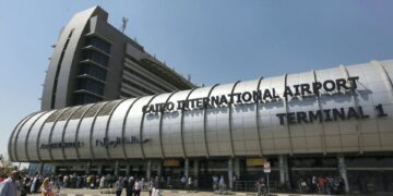 Egypt: Cairo Airport Authorities Arrest Passenger Attempting To Smuggle 73 Snakes