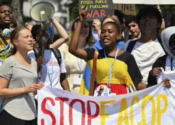 COP28: Kenya, Swedish Climate Activists Oppose Leadership Of President Sultan al-Jaber