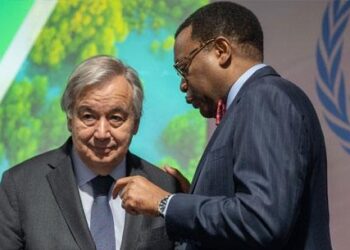 AfDB President, Adesina Accepts United Nations’ Appointment