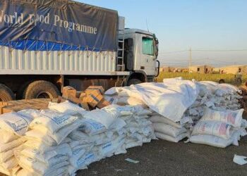 WFP Halts Food Assistance In Ethiopia Over Alleged Diversion